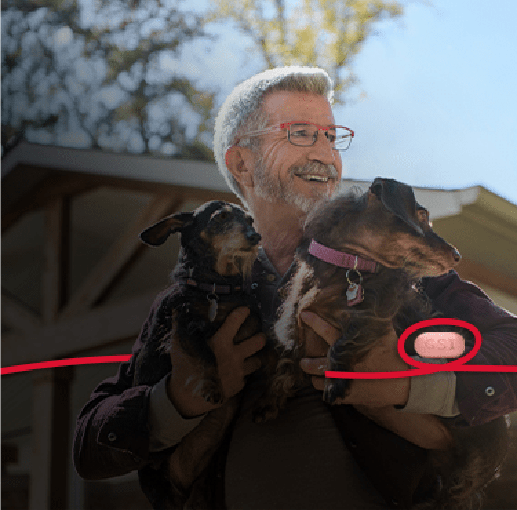 Theron holding 2 dogs.